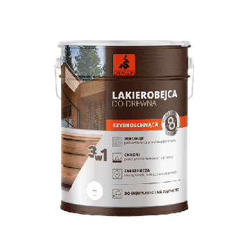 Kiiresti Kuivav Lakk Puidule valge 5L Dragon