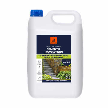 Vahend Tsemendi Ja Õisikute Eemaldamiseks 5L Dragon